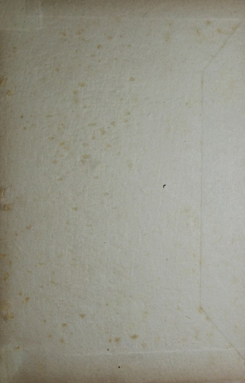 Pagina 313 de Biografía de Salvador Córdoba