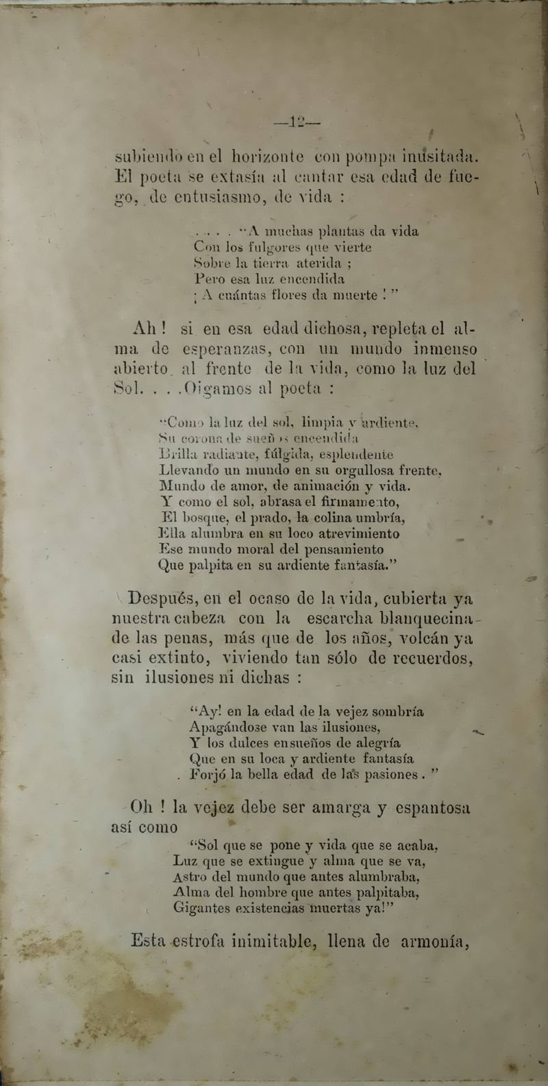 Pagina 14 de Corona Fúnebre