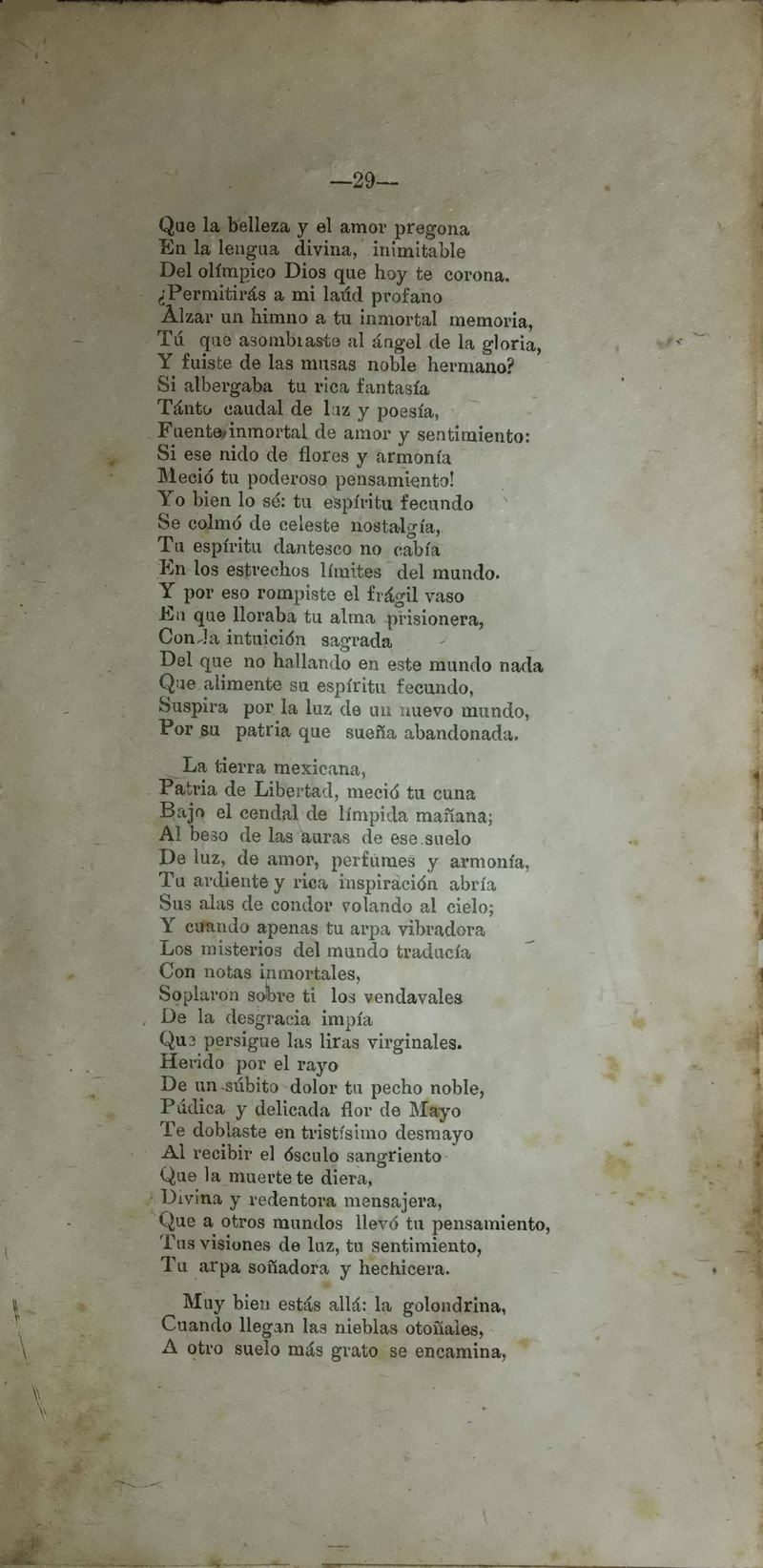 Pagina 31 de Corona Fúnebre