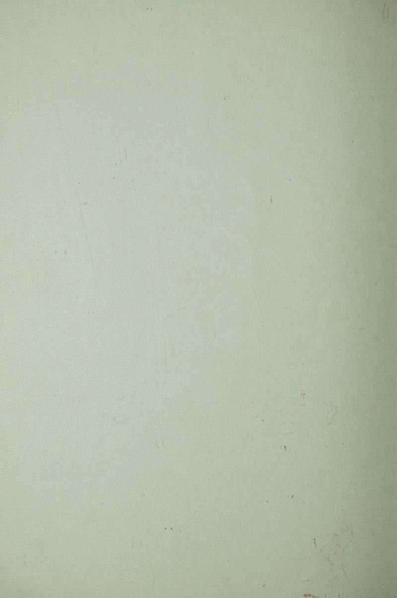 Pagina 4 de Daniela la única sobreviviente