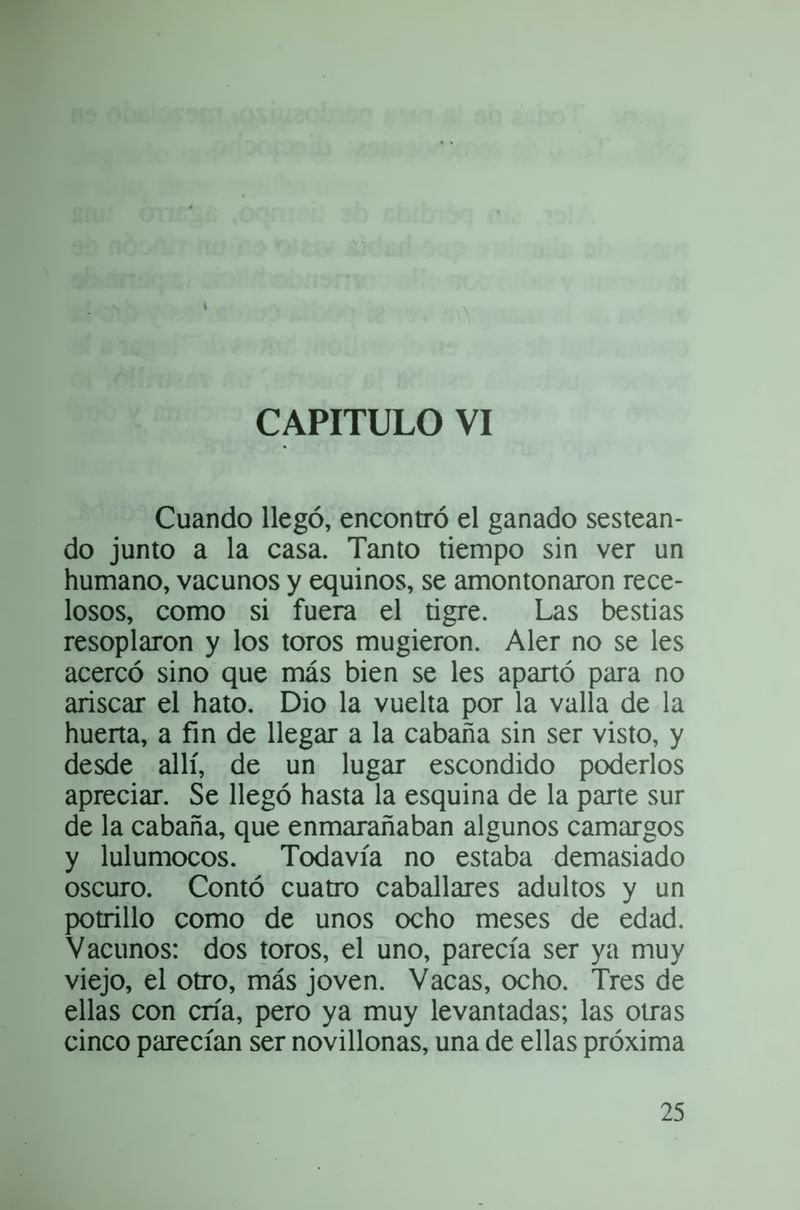 Pagina 31 de Daniela la única sobreviviente