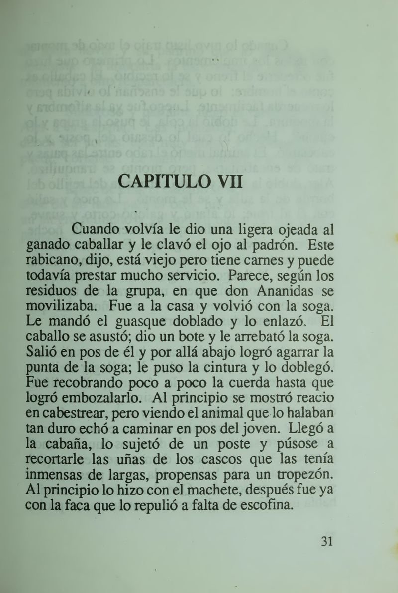 Pagina 37 de Daniela la única sobreviviente