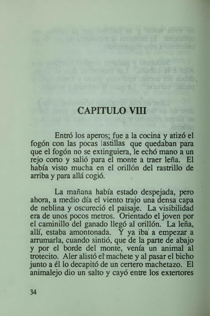 Pagina 40 de Daniela la única sobreviviente