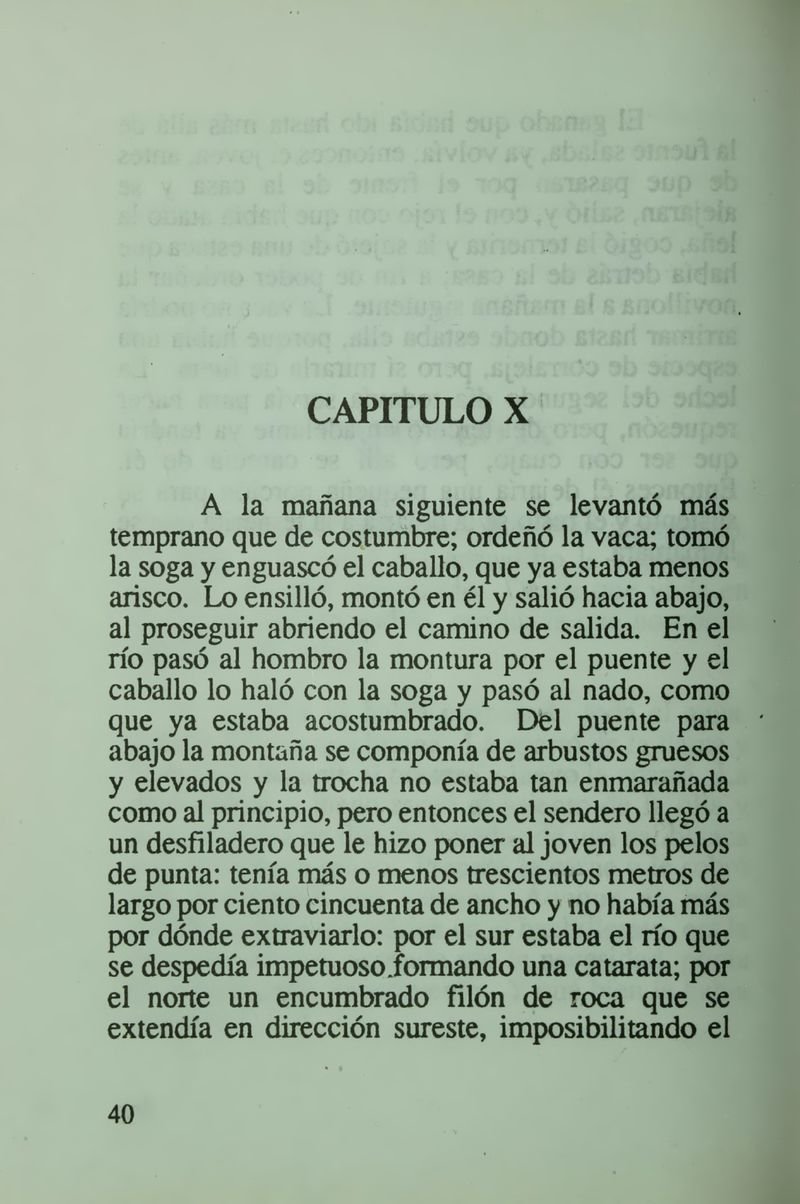 Pagina 46 de Daniela la única sobreviviente