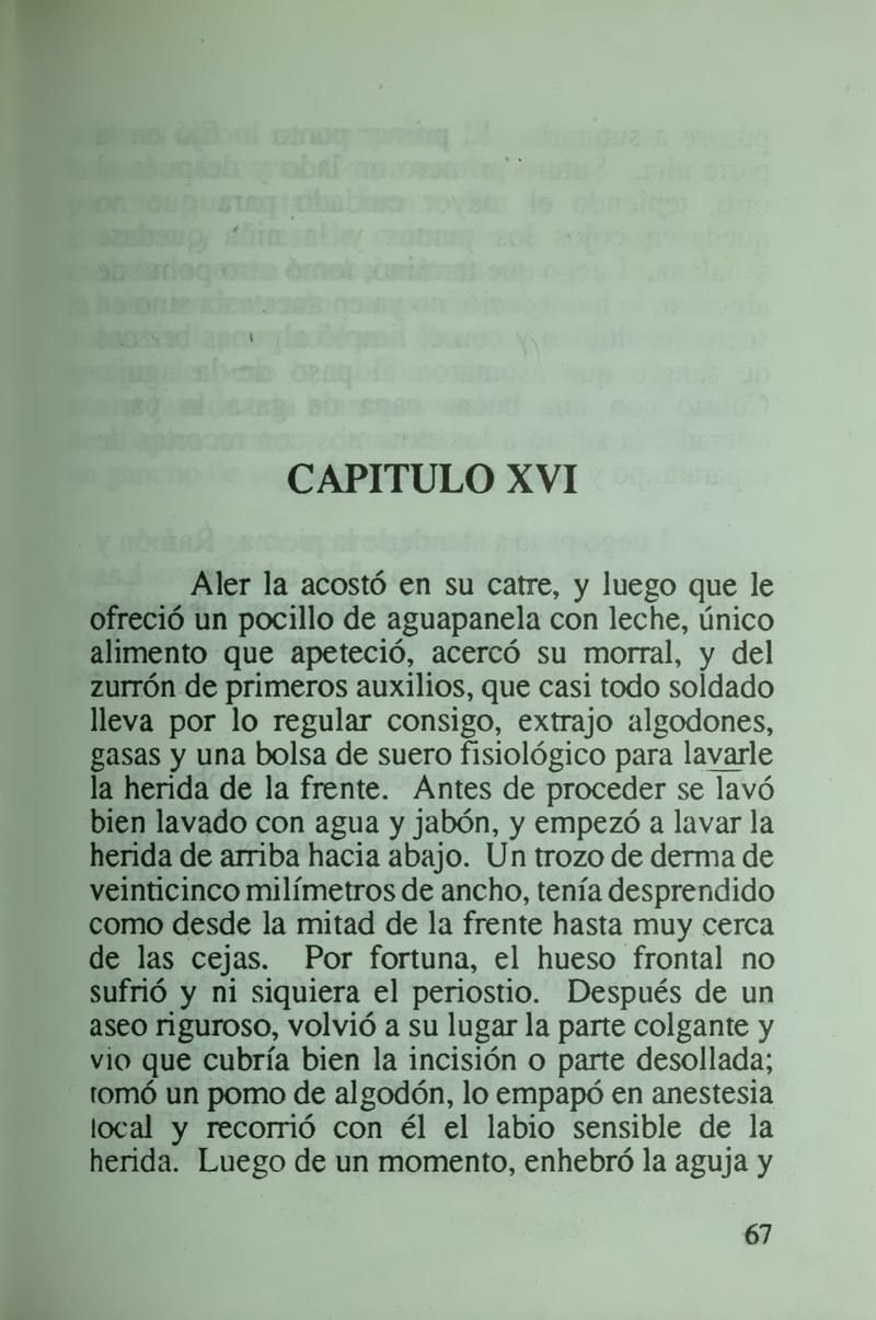 Pagina 73 de Daniela la única sobreviviente