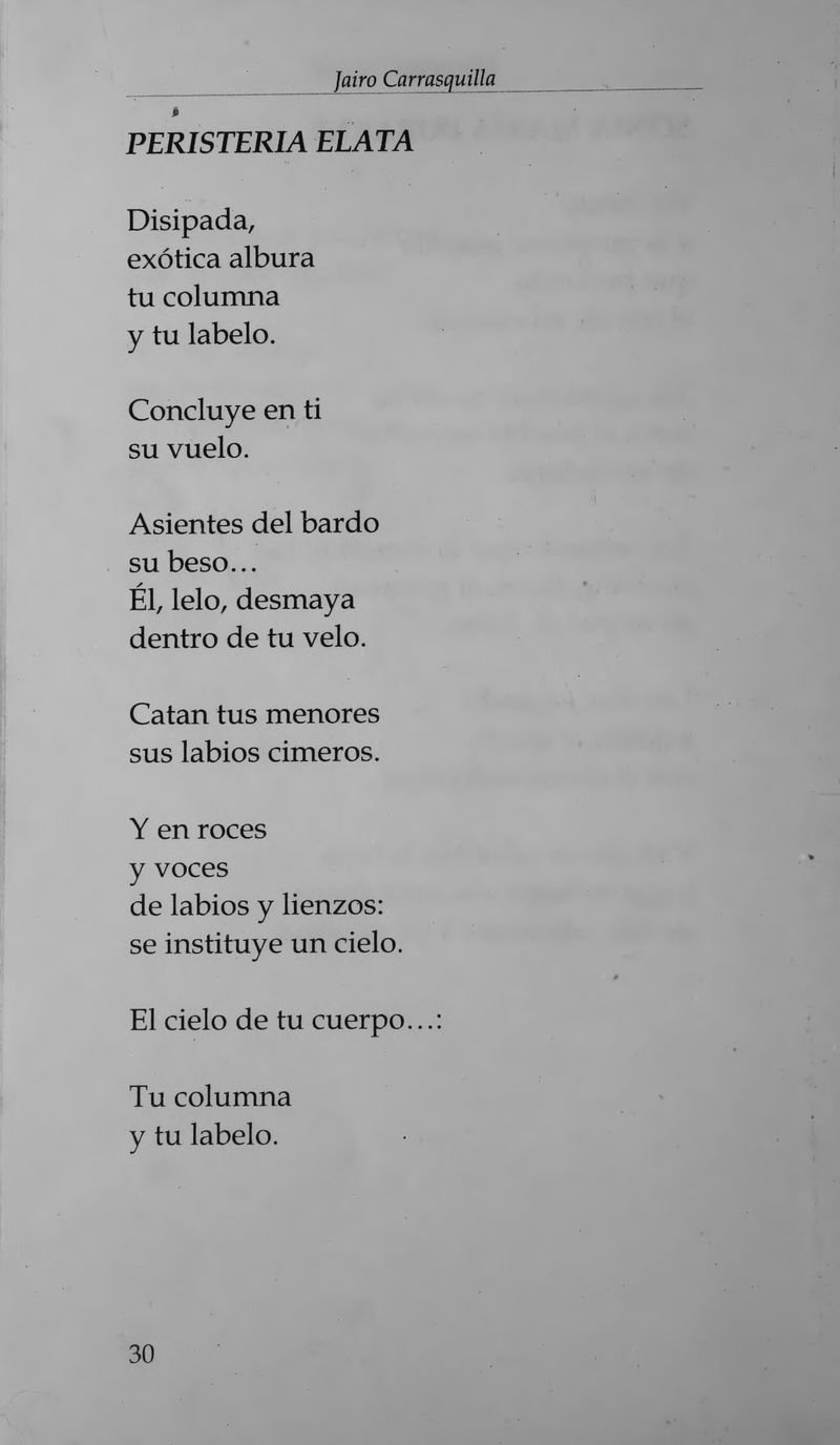 Pagina 34 de El ciruelo en tu vino