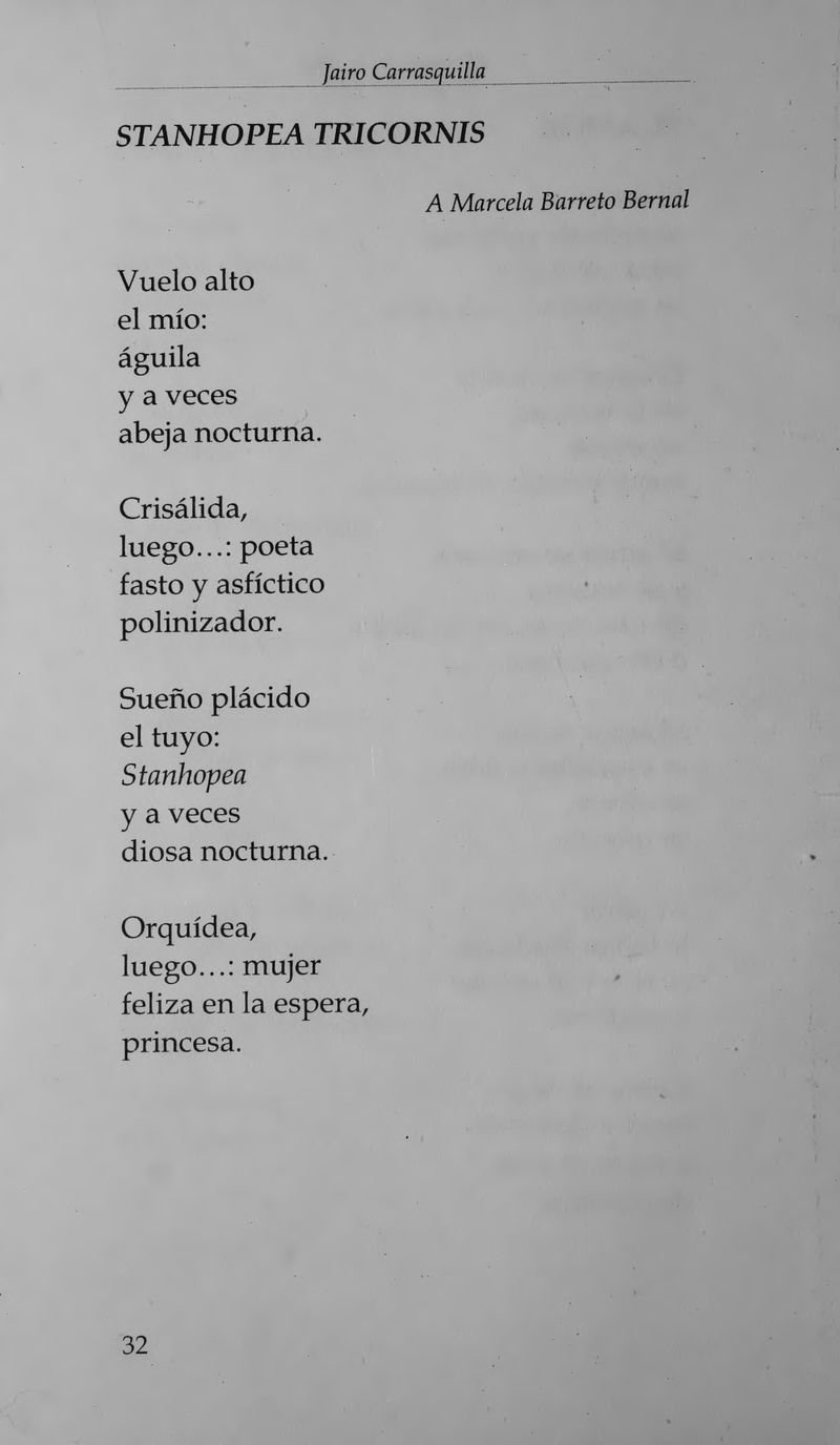 Pagina 36 de El ciruelo en tu vino