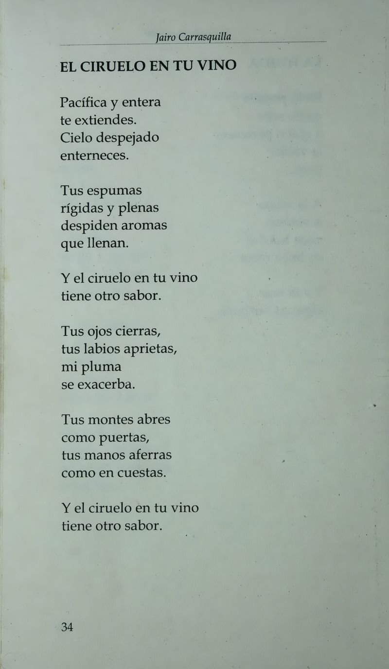 Pagina 38 de El ciruelo en tu vino