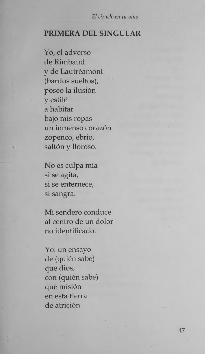 Pagina 51 de El ciruelo en tu vino
