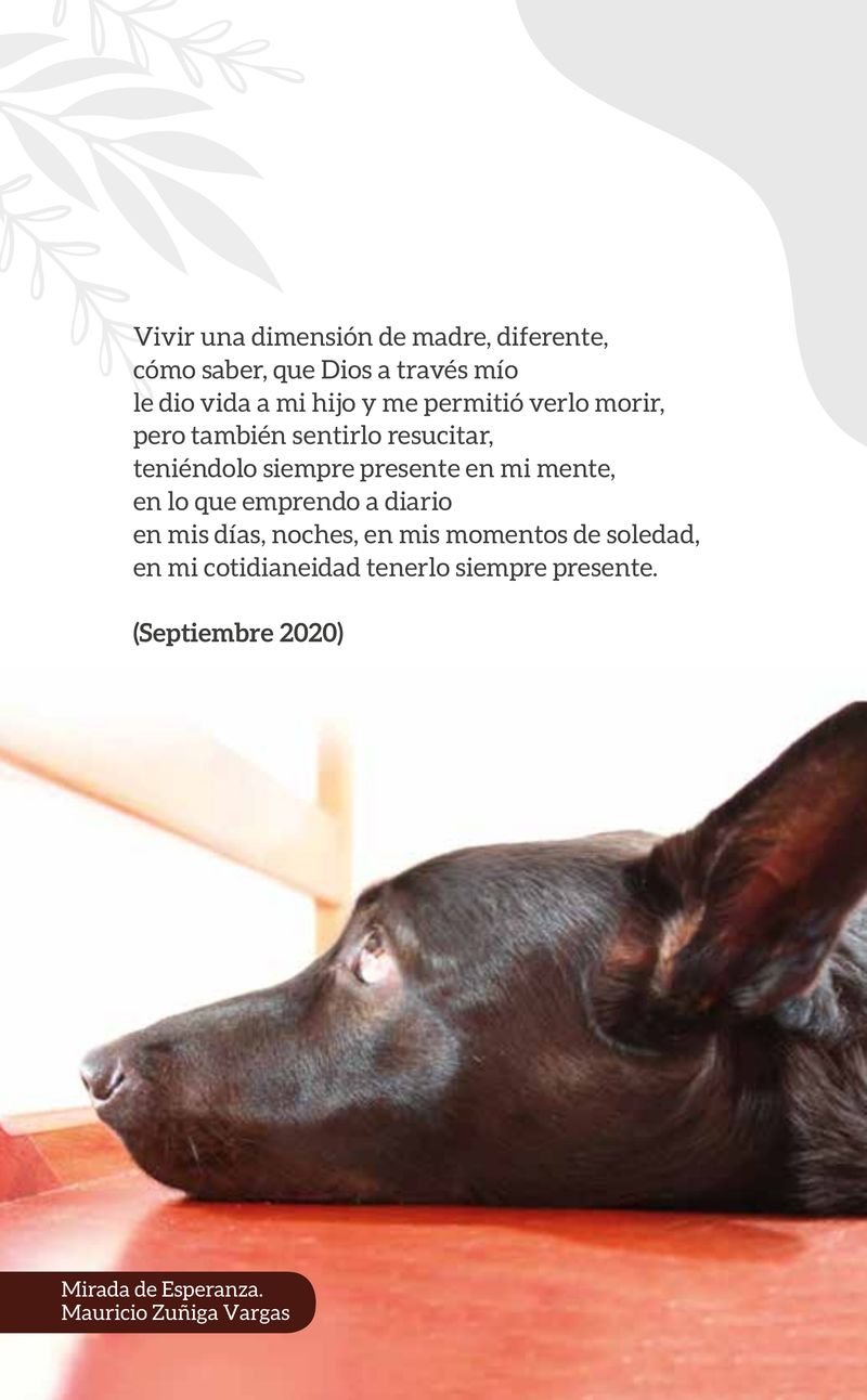 Pagina 118 de Hermosamente doloroso