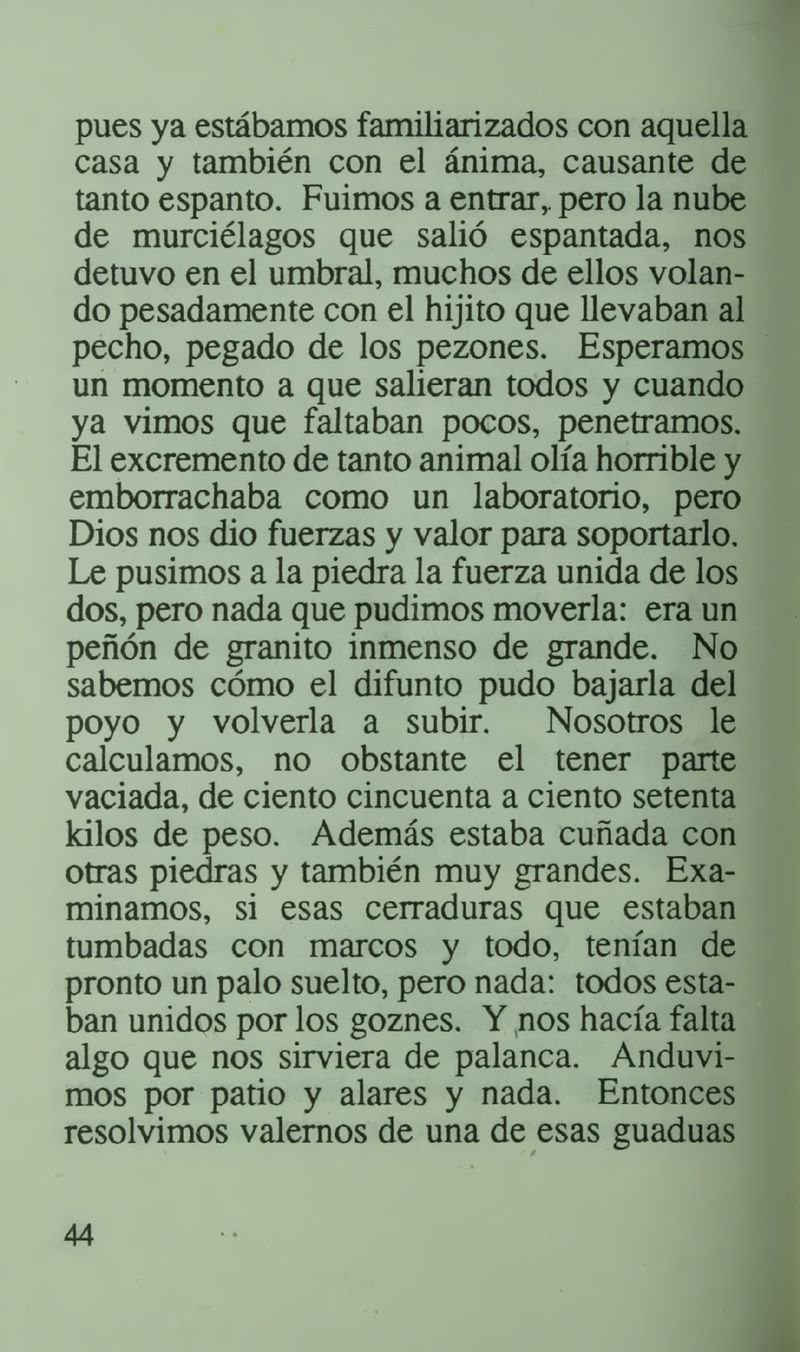 Pagina 48 de La casa del espanto y el sepelio del patriarca