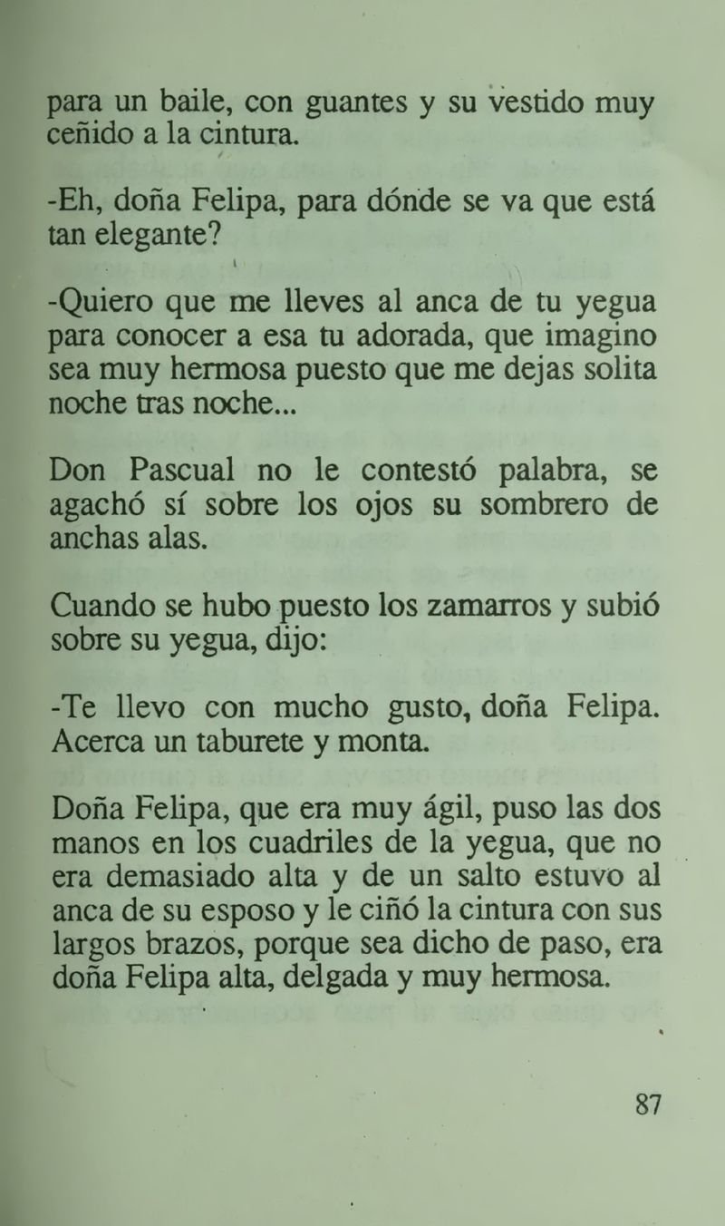 Pagina 91 de La casa del espanto y el sepelio del patriarca
