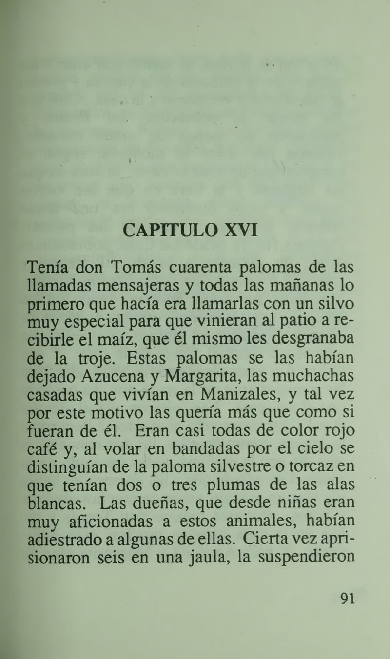 Pagina 95 de La casa del espanto y el sepelio del patriarca