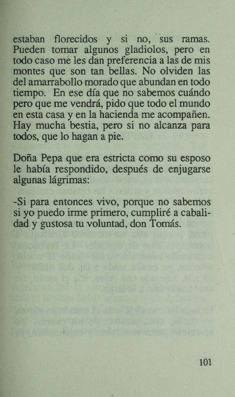 Pagina 105 de La casa del espanto y el sepelio del patriarca