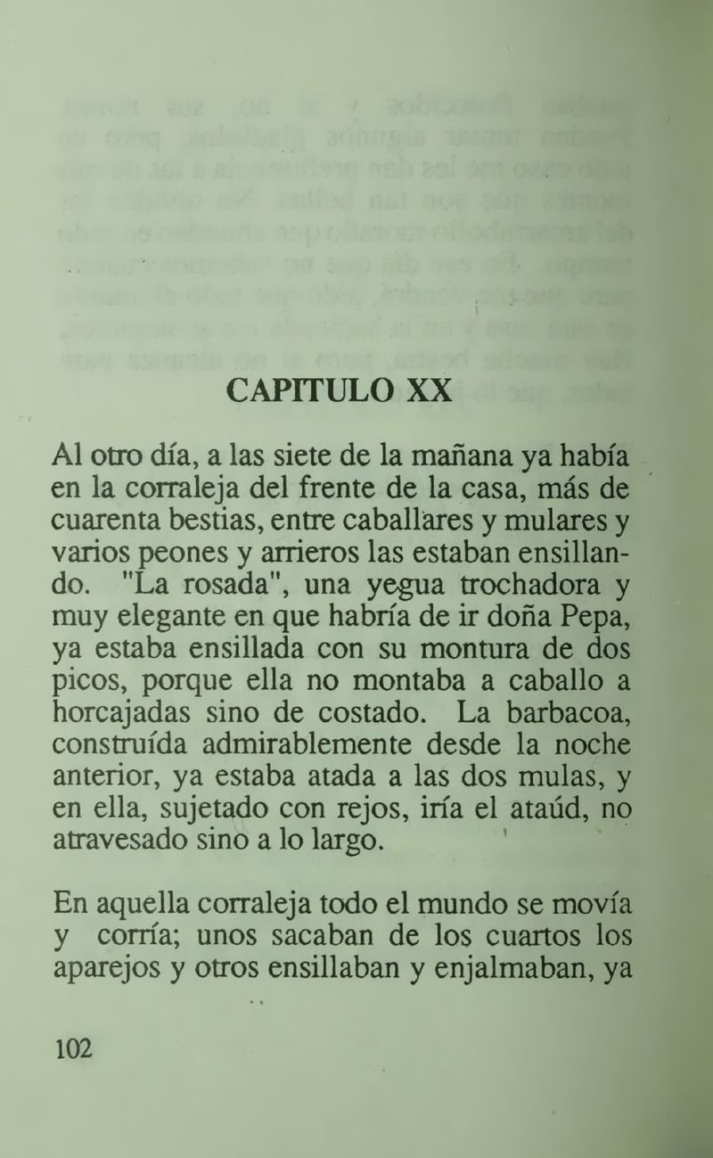 Pagina 106 de La casa del espanto y el sepelio del patriarca
