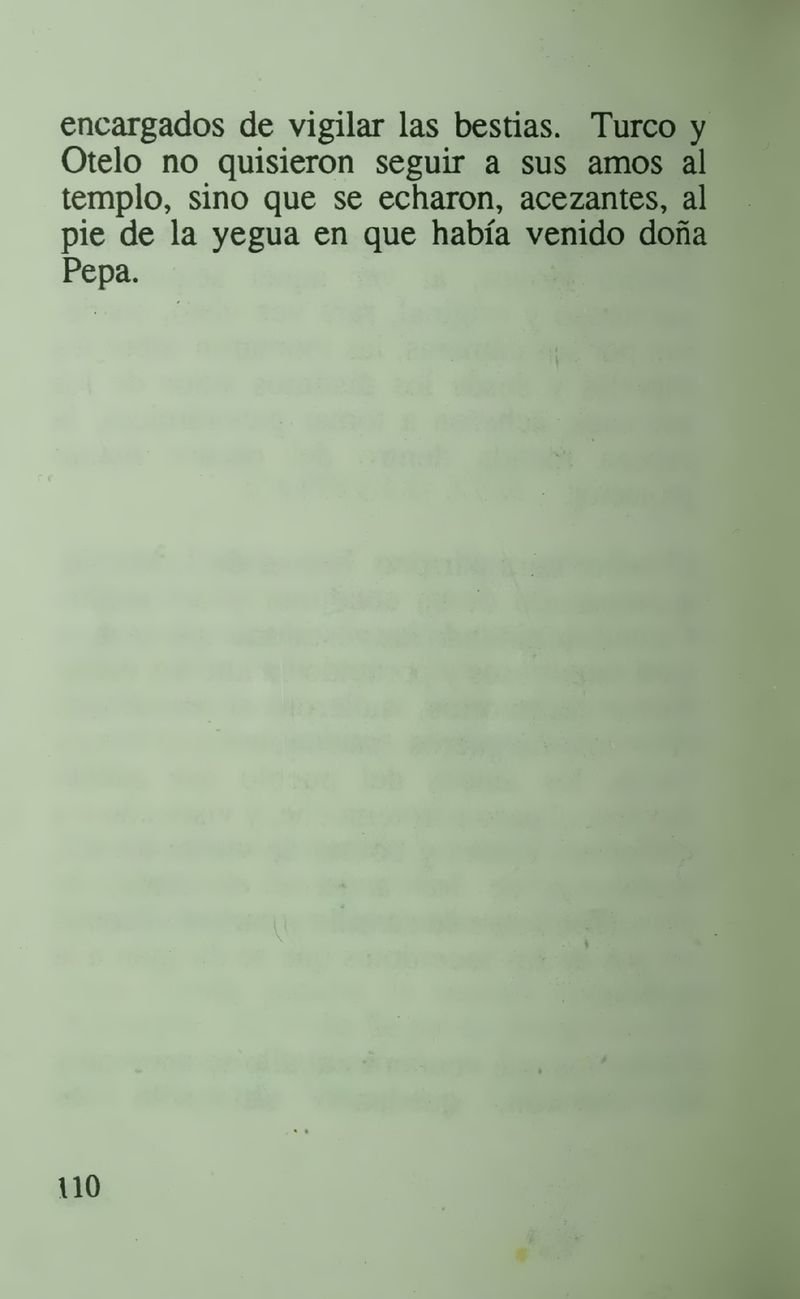 Pagina 114 de La casa del espanto y el sepelio del patriarca