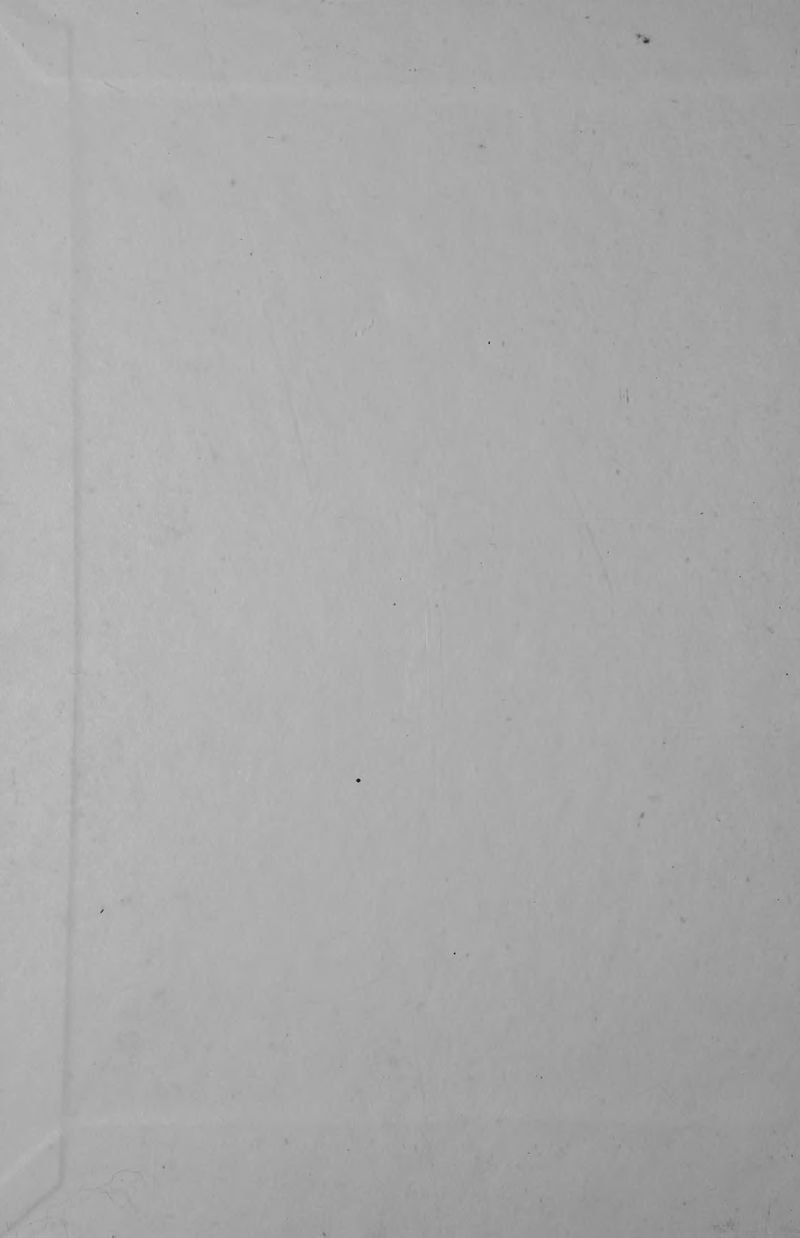Pagina 2 de La inquietante longitud de este amor