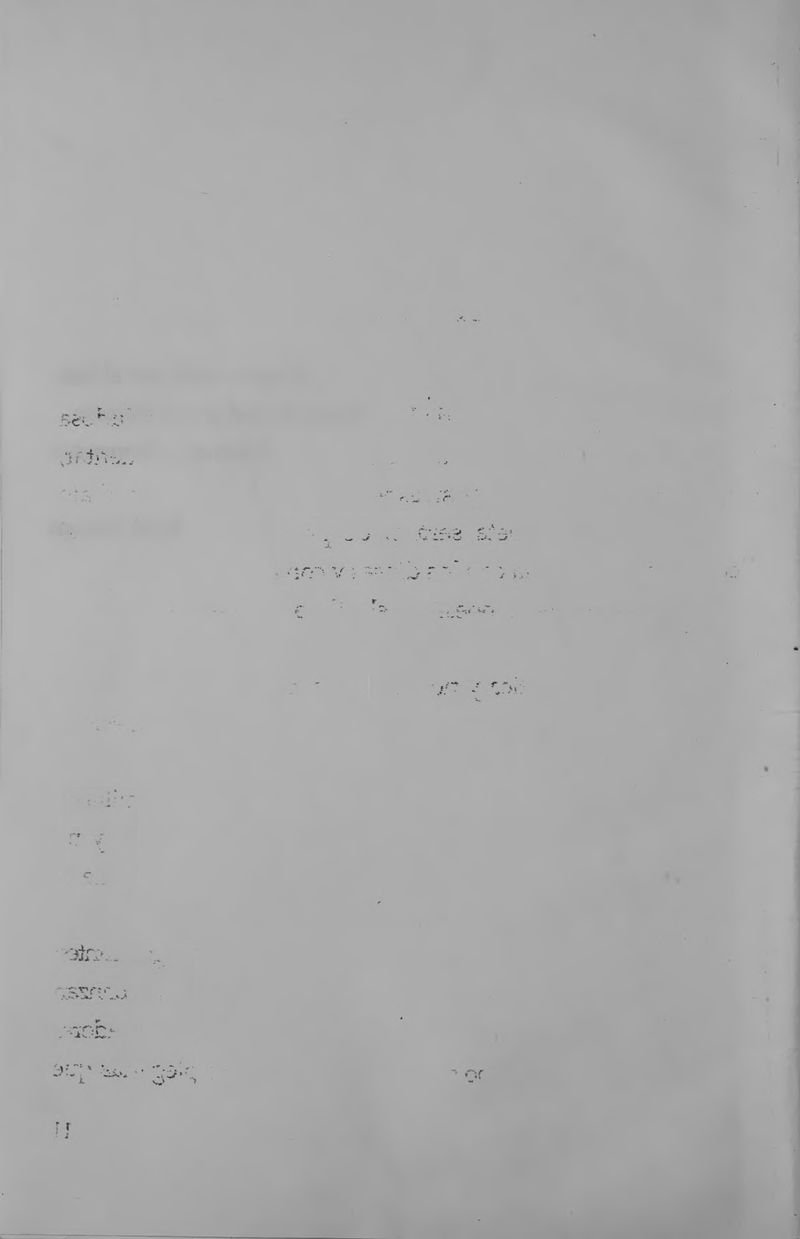 Pagina 12 de La inquietante longitud de este amor