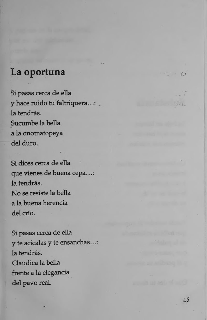 Pagina 17 de La inquietante longitud de este amor