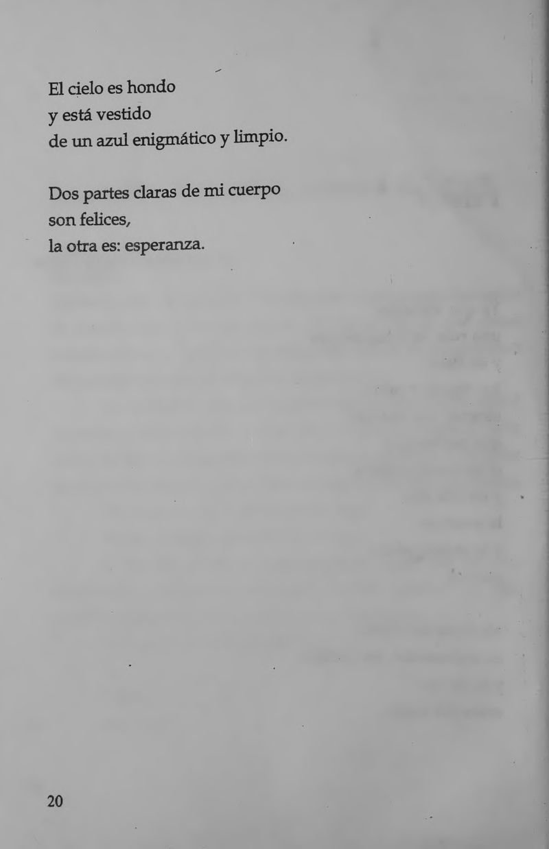 Pagina 22 de La inquietante longitud de este amor