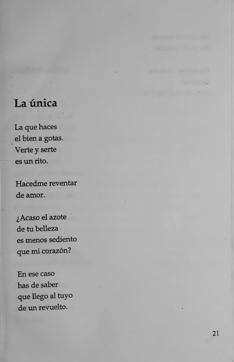 Pagina 23 de La inquietante longitud de este amor