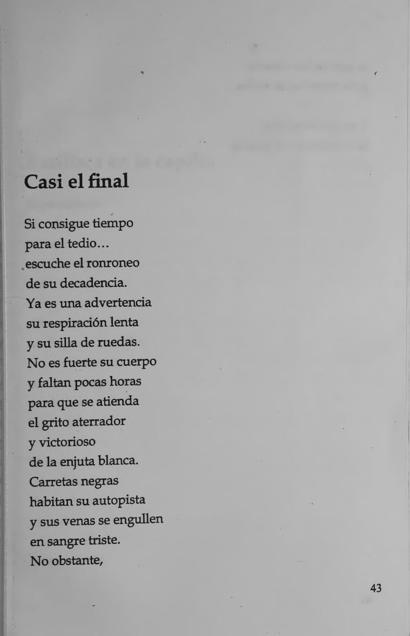 Pagina 45 de La inquietante longitud de este amor
