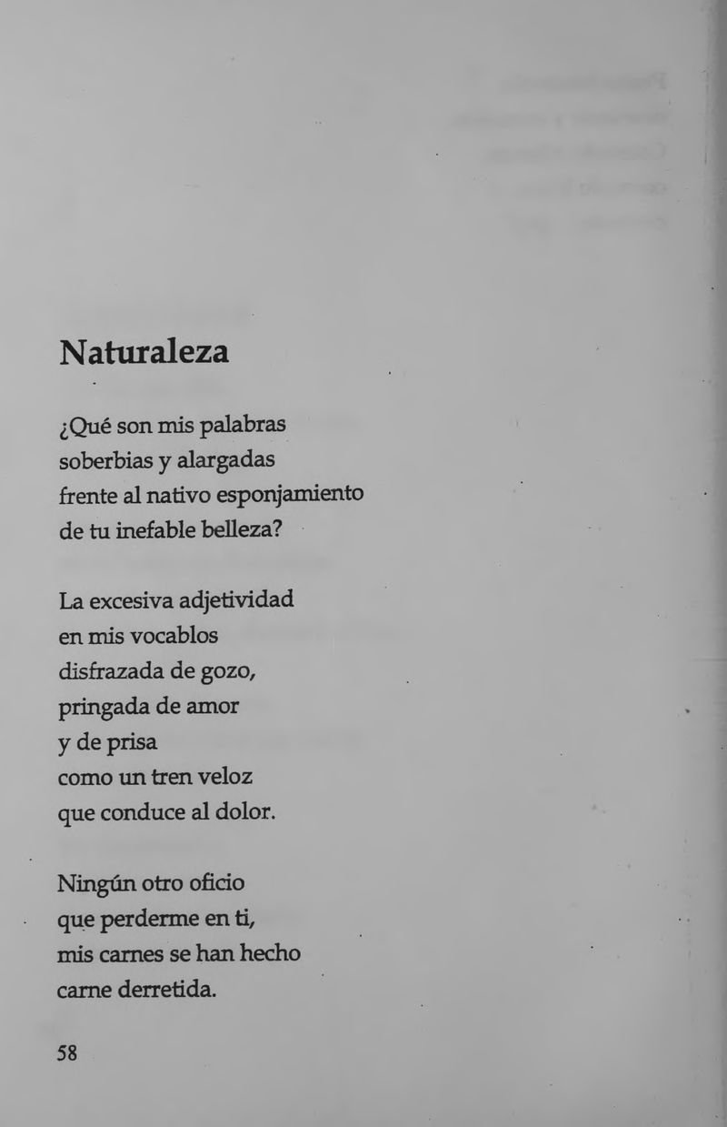 Pagina 60 de La inquietante longitud de este amor