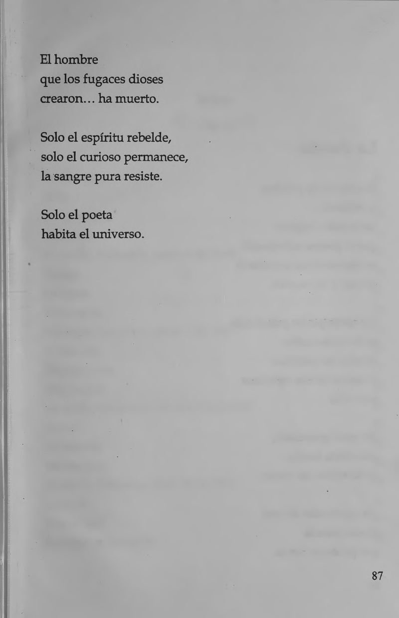 Pagina 89 de La inquietante longitud de este amor