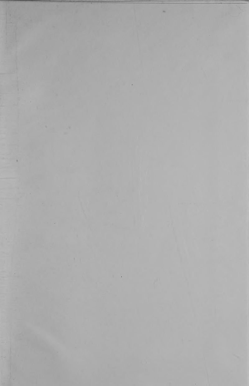 Pagina 93 de La inquietante longitud de este amor