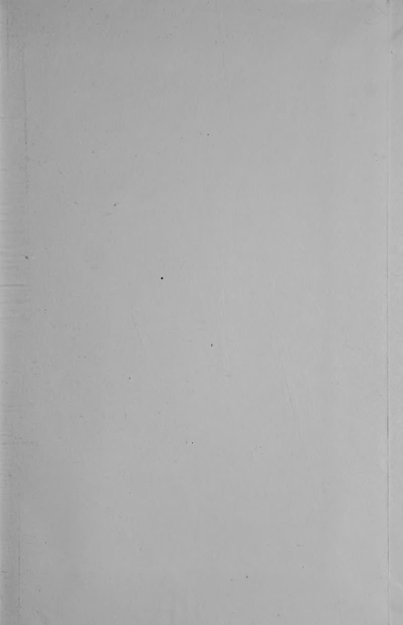 Pagina 95 de La inquietante longitud de este amor