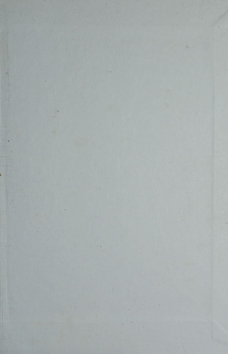 Pagina 97 de La inquietante longitud de este amor