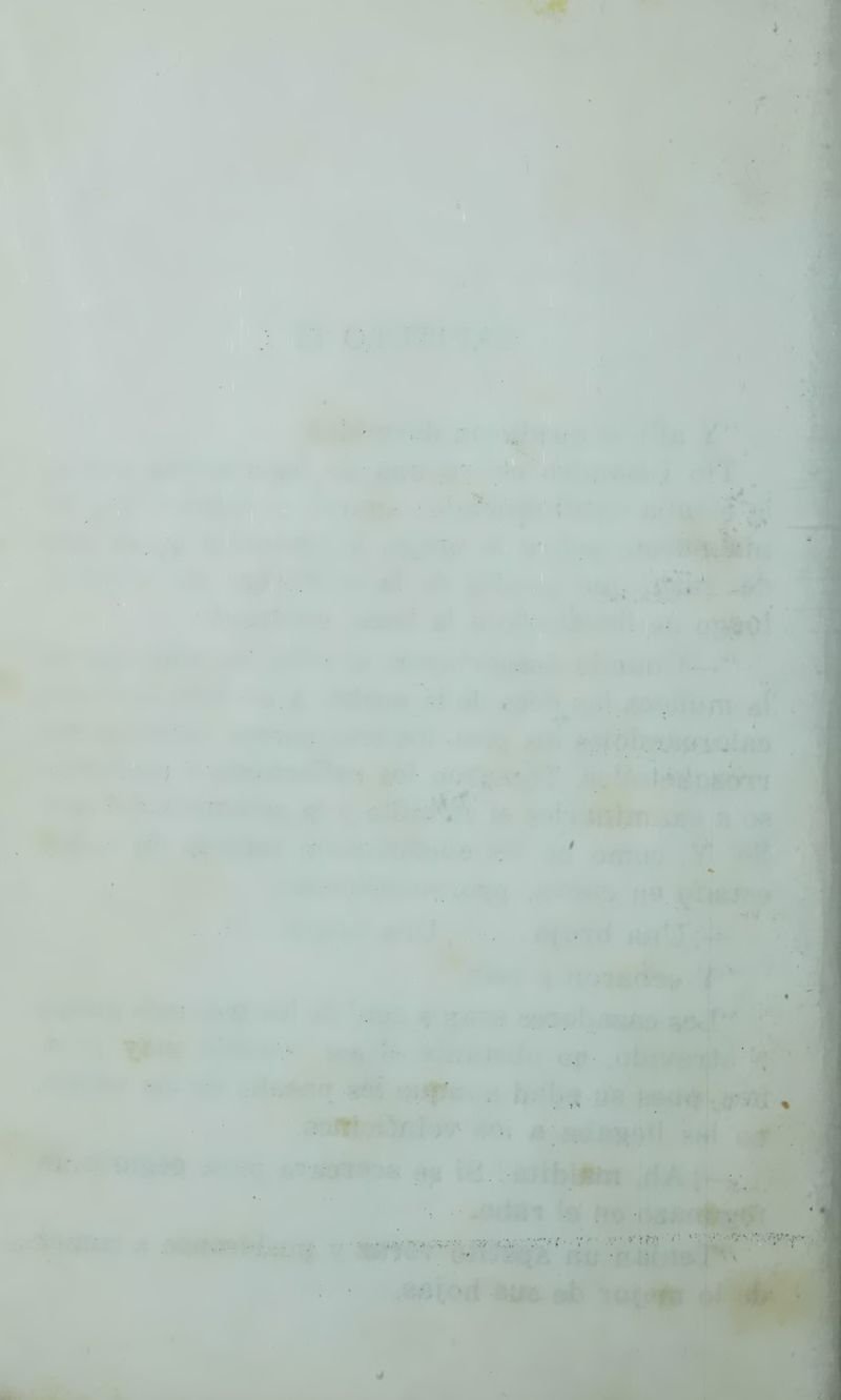 Pagina 77 de La llorona y la coqueta montés
