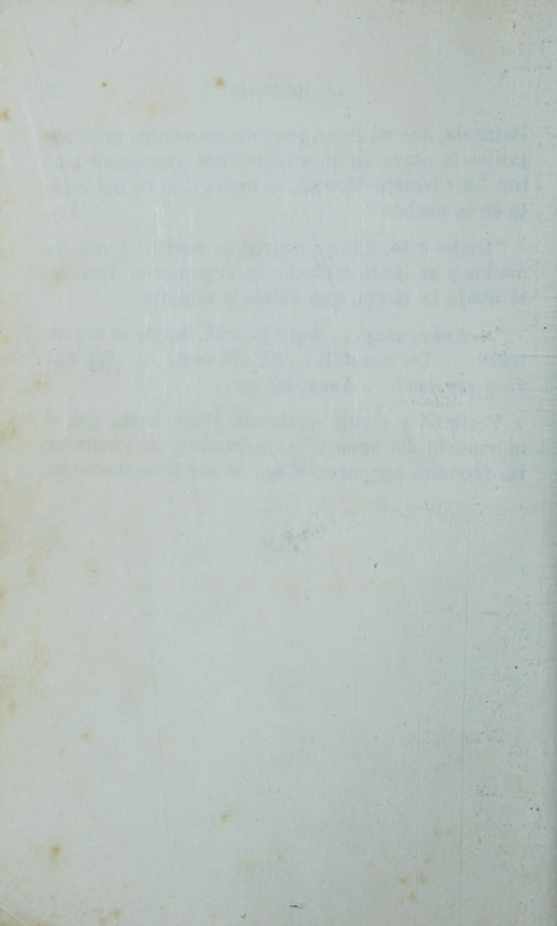Pagina 84 de La llorona y la coqueta montés