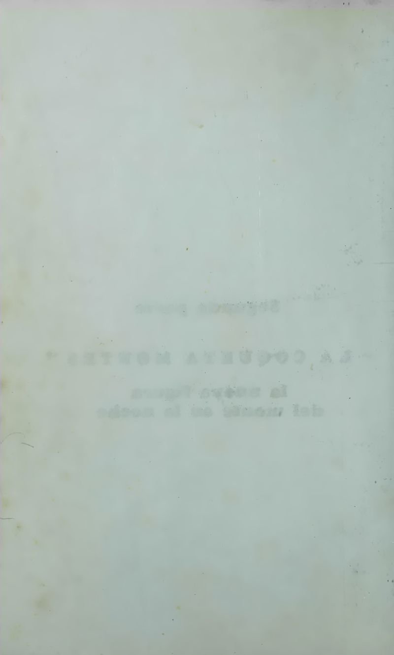 Pagina 85 de La llorona y la coqueta montés