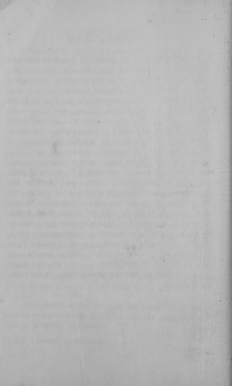 Pagina 88 de La llorona y la coqueta montés