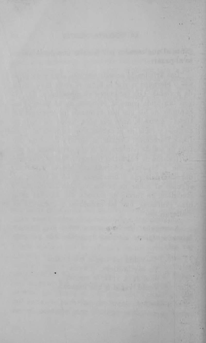 Pagina 90 de La llorona y la coqueta montés