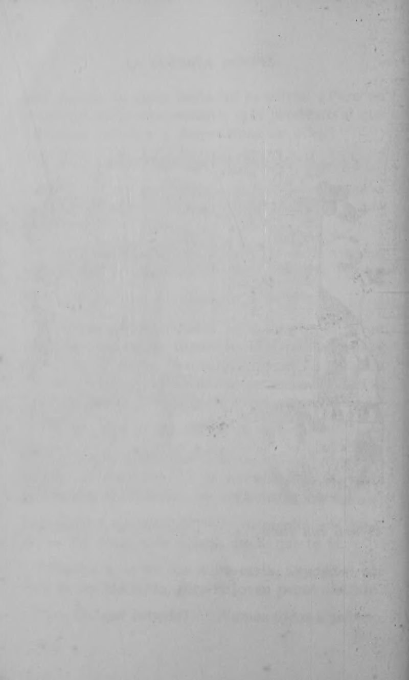 Pagina 99 de La llorona y la coqueta montés
