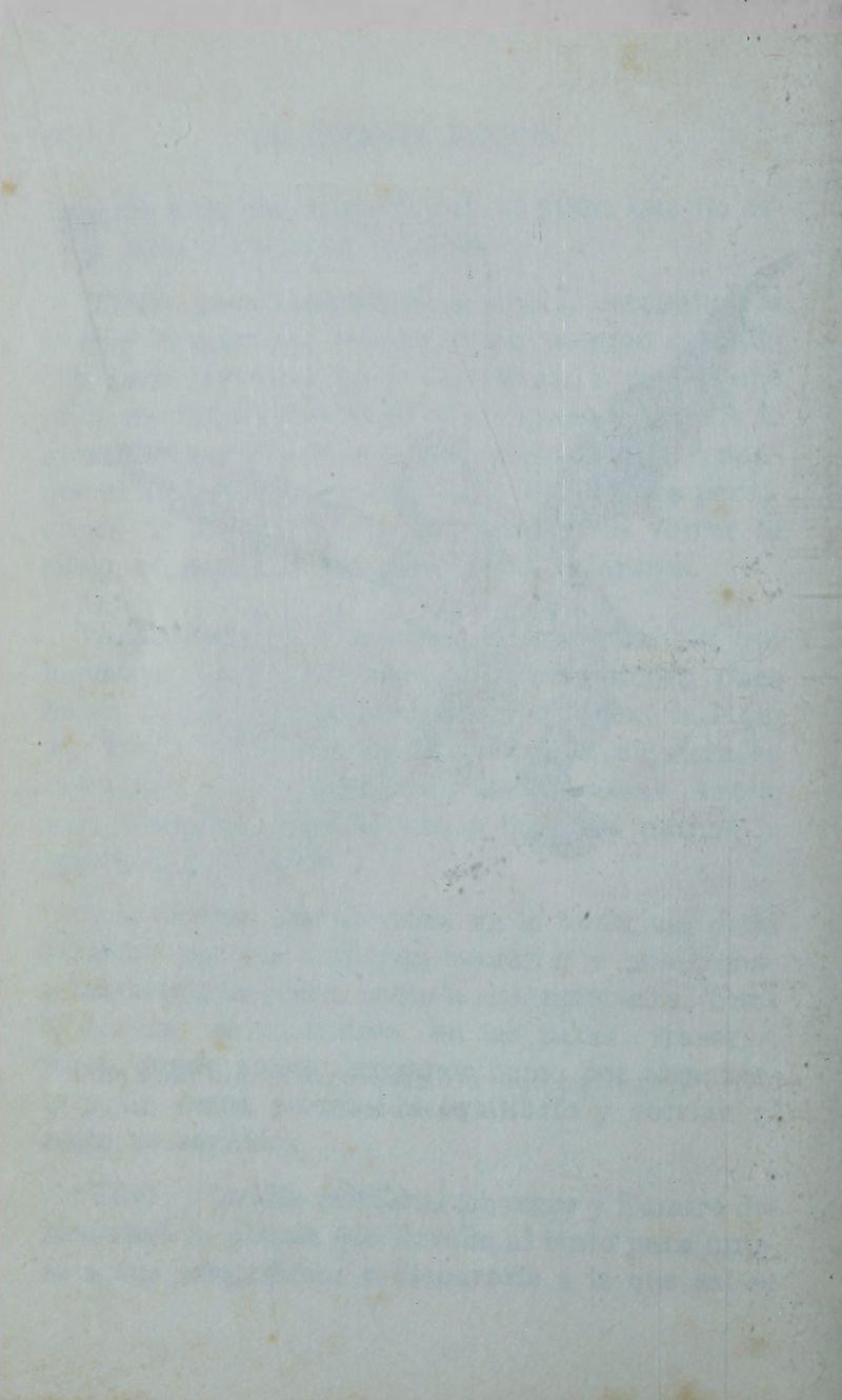 Pagina 129 de La llorona y la coqueta montés