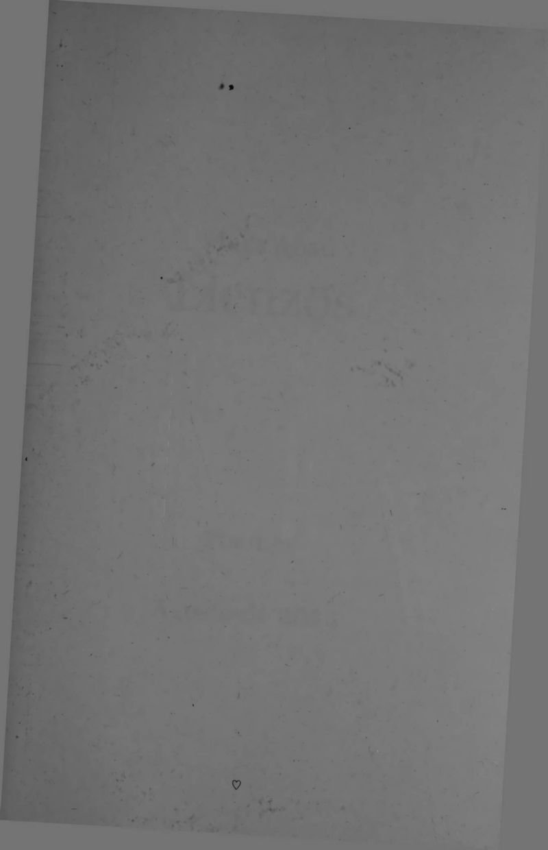 Pagina 3 de Lienzos