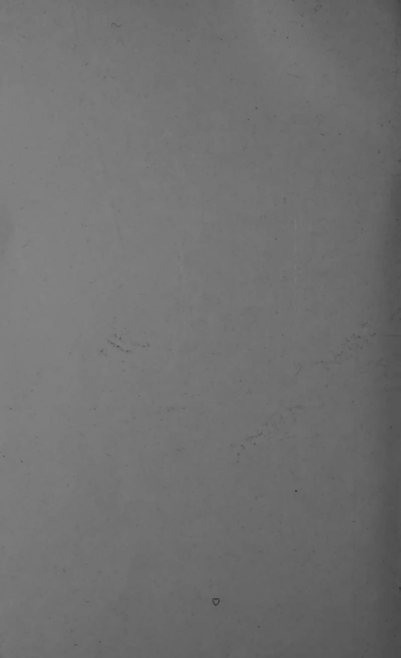 Pagina 4 de Lienzos