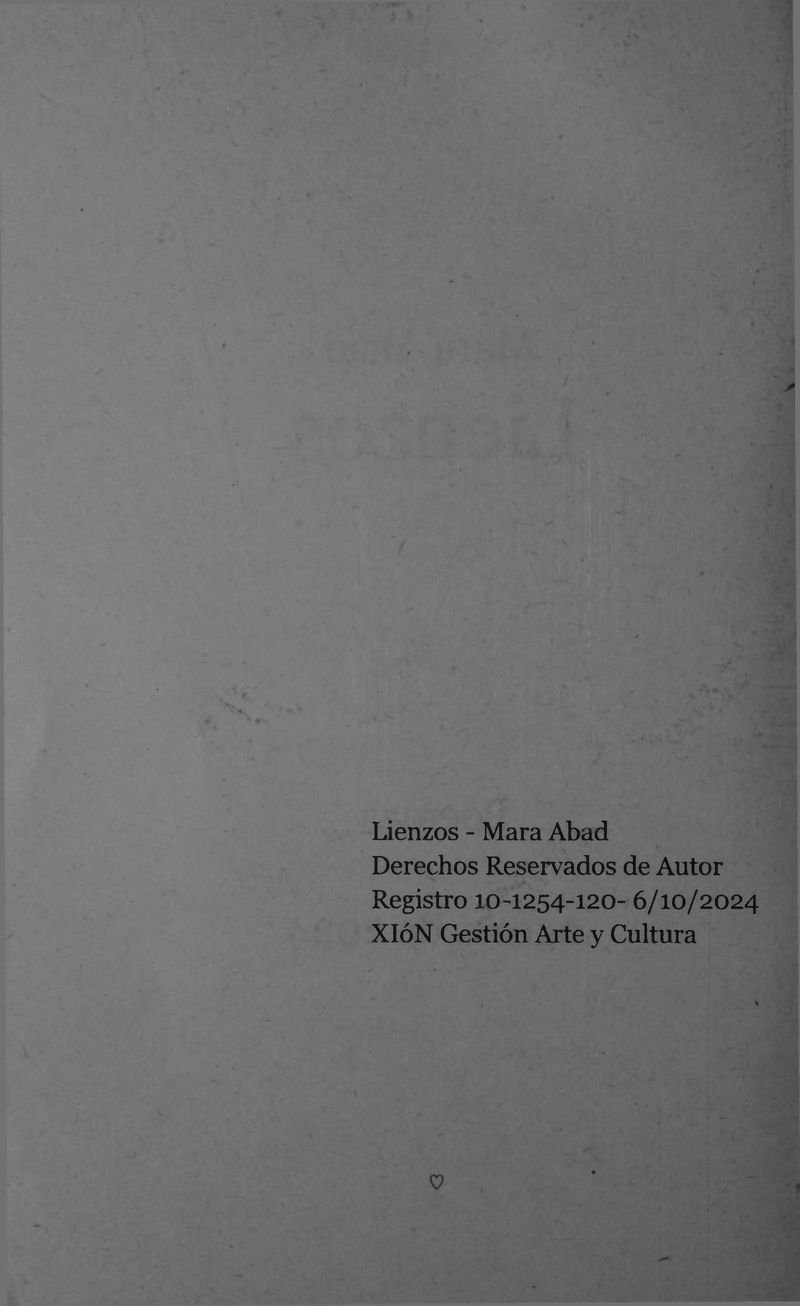 Pagina 6 de Lienzos