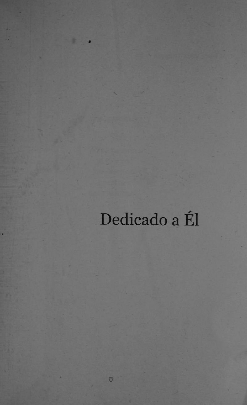 Pagina 7 de Lienzos