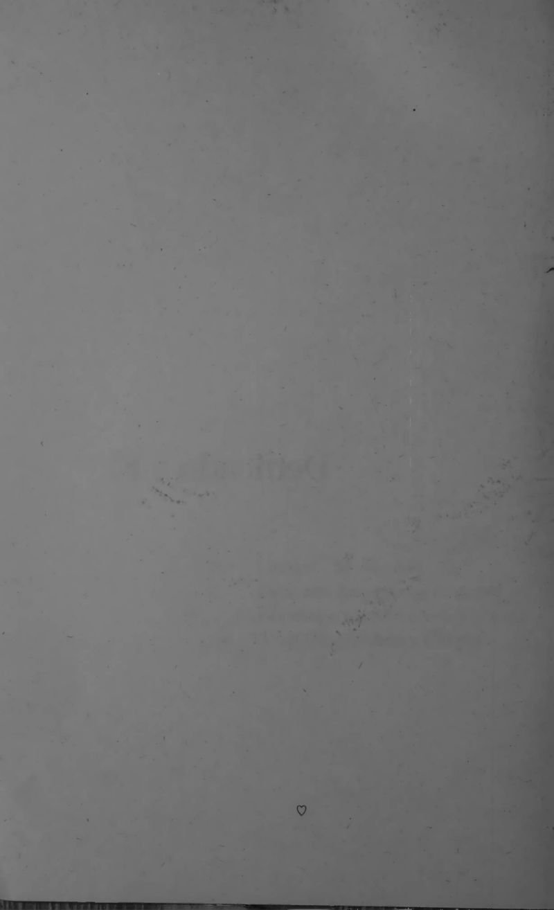 Pagina 8 de Lienzos