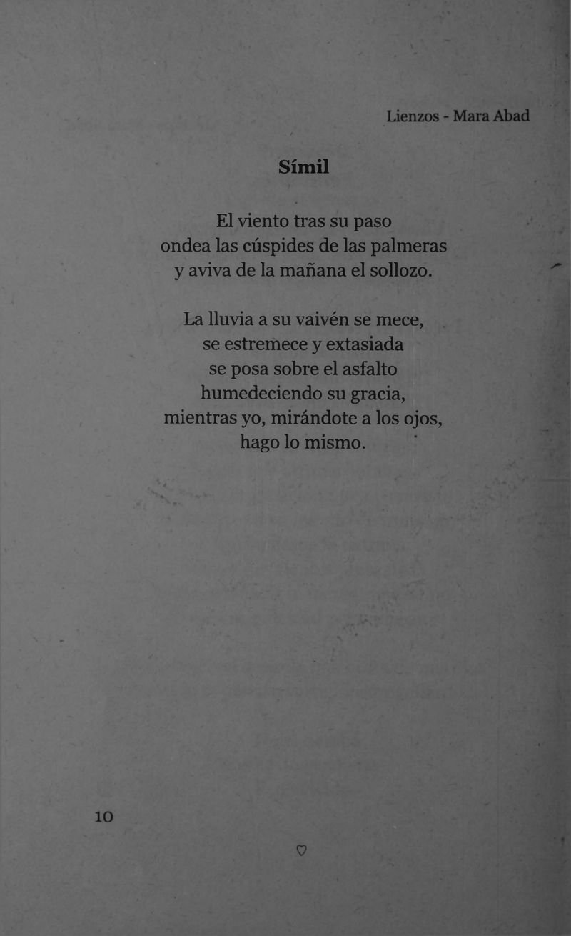 Pagina 12 de Lienzos