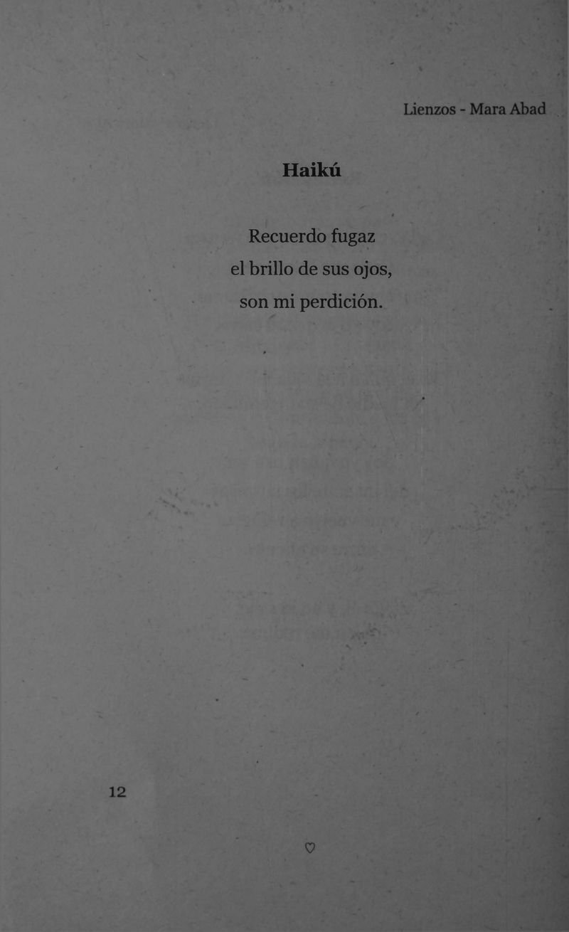 Pagina 14 de Lienzos