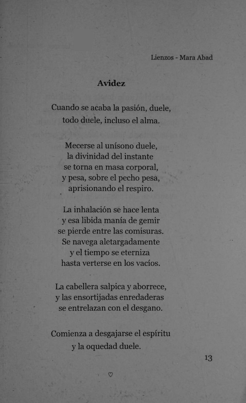 Pagina 15 de Lienzos