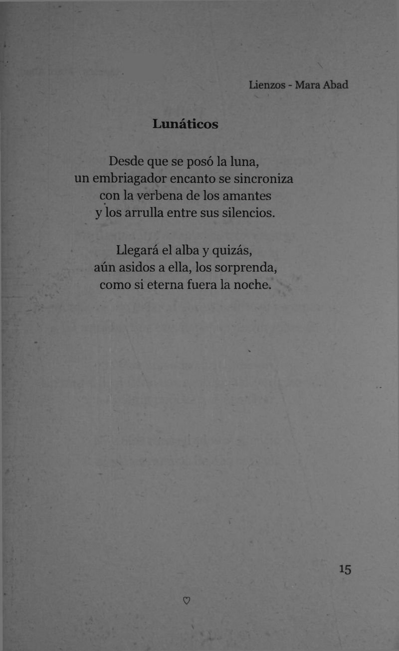 Pagina 17 de Lienzos