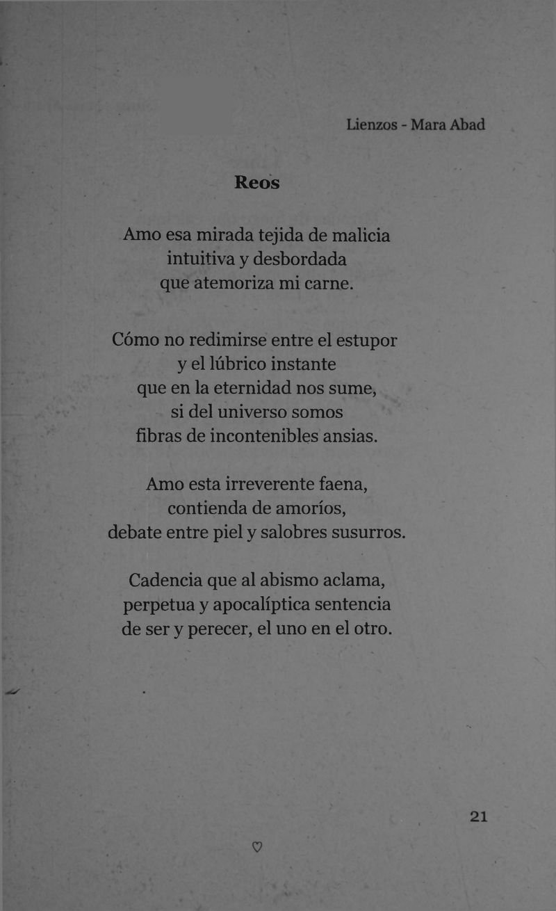 Pagina 23 de Lienzos
