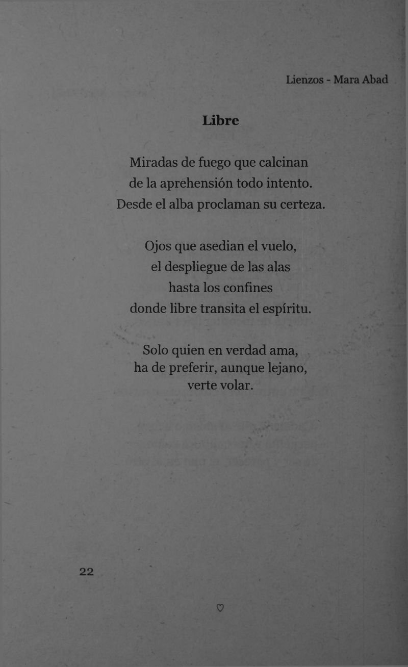 Pagina 24 de Lienzos