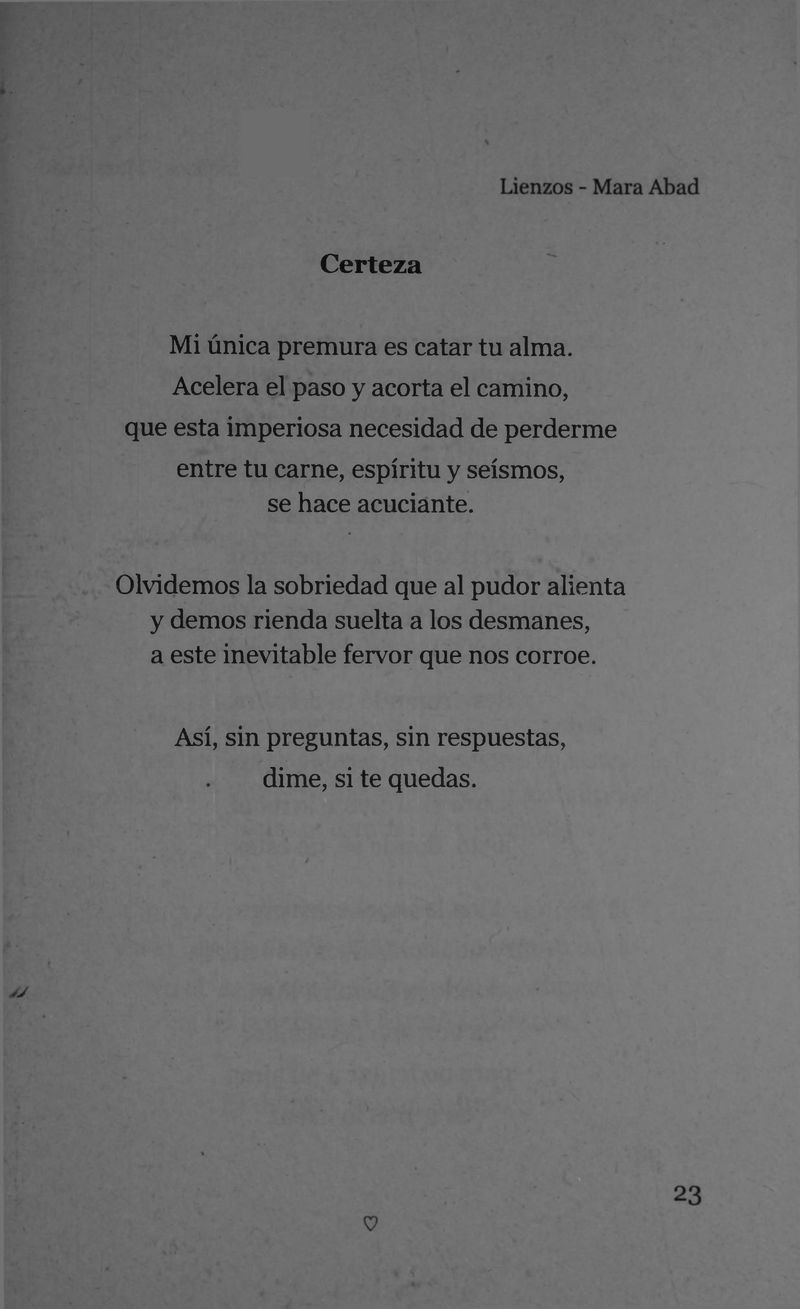 Pagina 25 de Lienzos